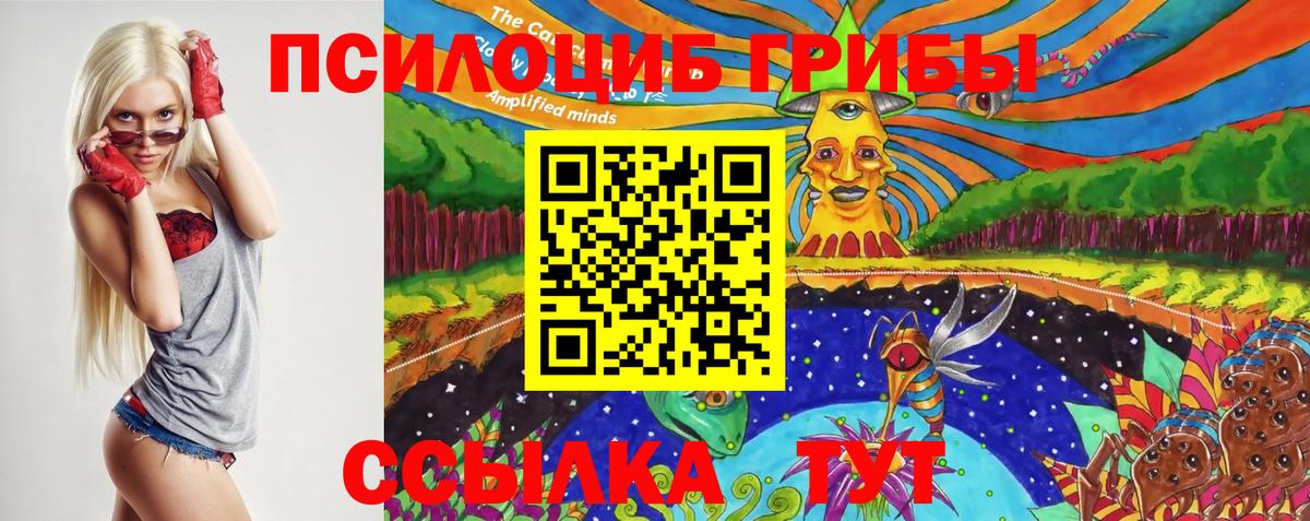Горно-Алтайск  Галлюциногенные грибы GOLDEN TEACHER  Вход с VPN 