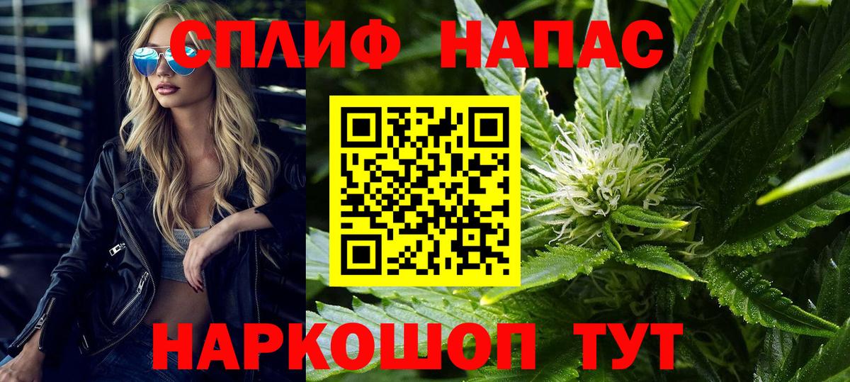 Конопля индика Горно-Алтайск